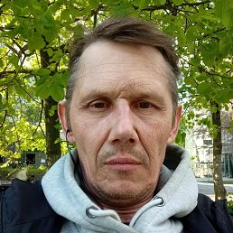 , 56, 