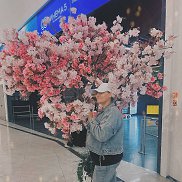 , 43 , 