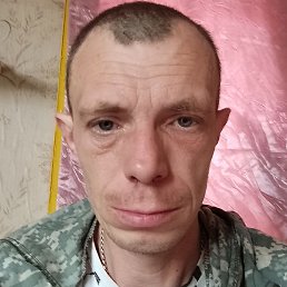 �����, �����������, 43 ����