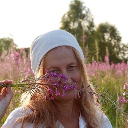 , 62, -