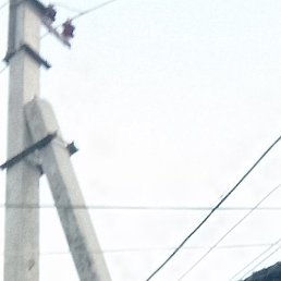 ����, ����������, 46 ���