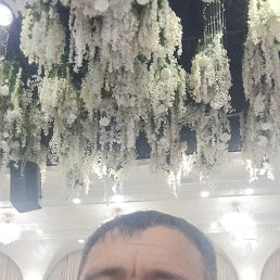, 42, 