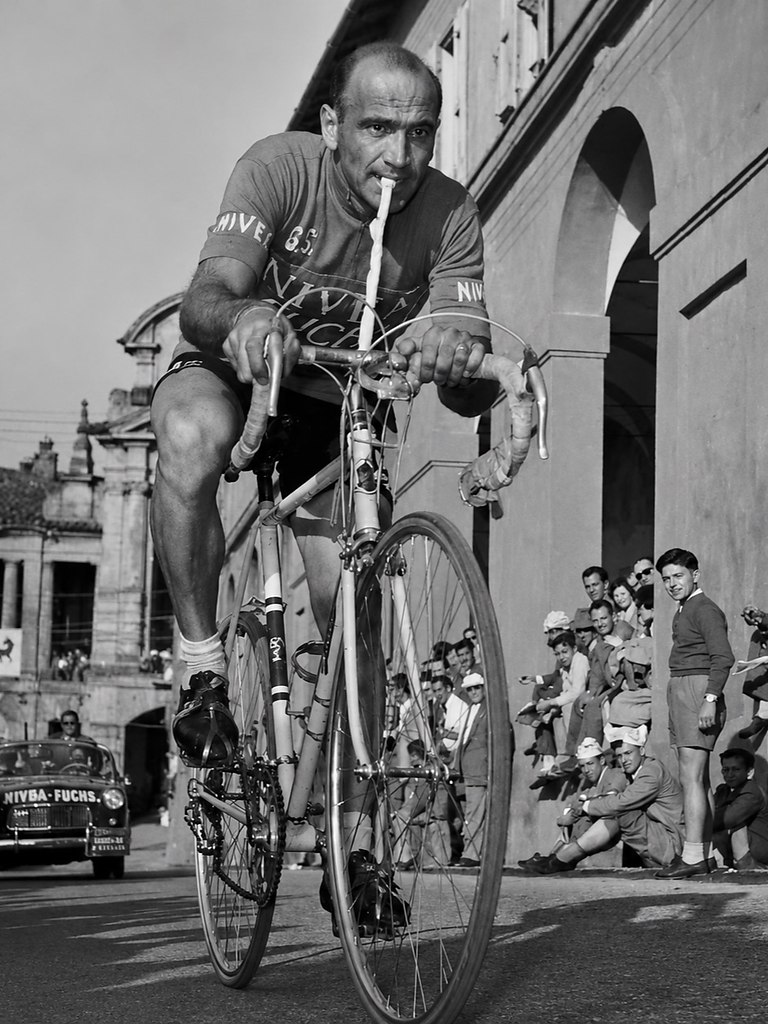 ����������� �� �������. �� - ���. � 1956 ���� �� 