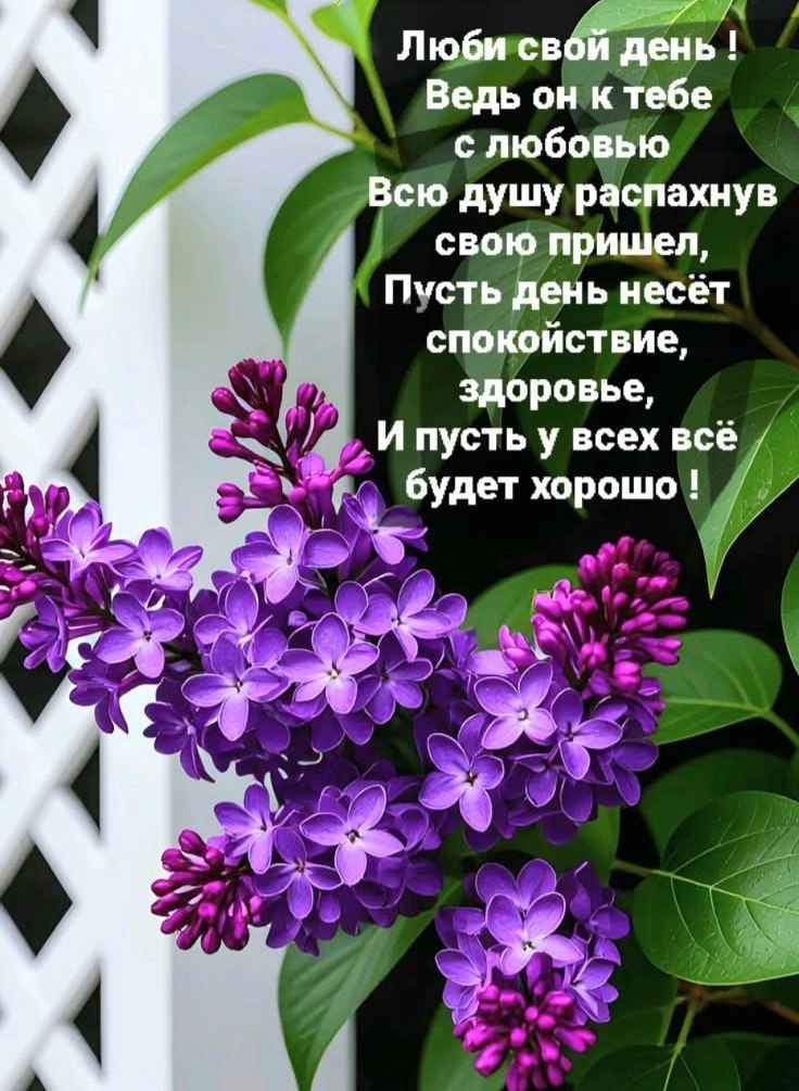 ����������� � ���������, �������� �� ������ ����. - 24 ��� 2026 � 23:24