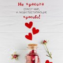 ���� ������, ������������ - ��������� 21 ������� 2026 � ������ ������ ��������