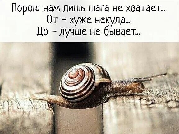   - 14  2025  12:21