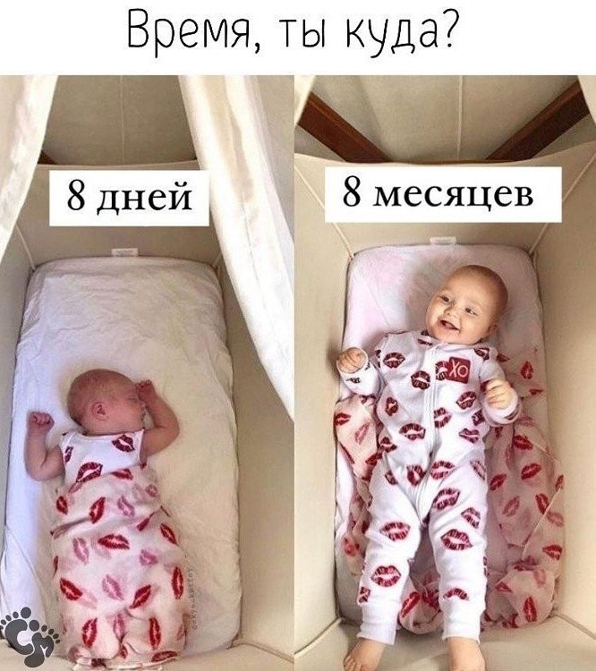    :   ?