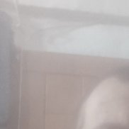 ���������, 36 ���, �������