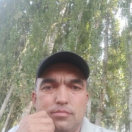 ���� ����, ������, 43 ���� - ��������� 20 ������� 2025