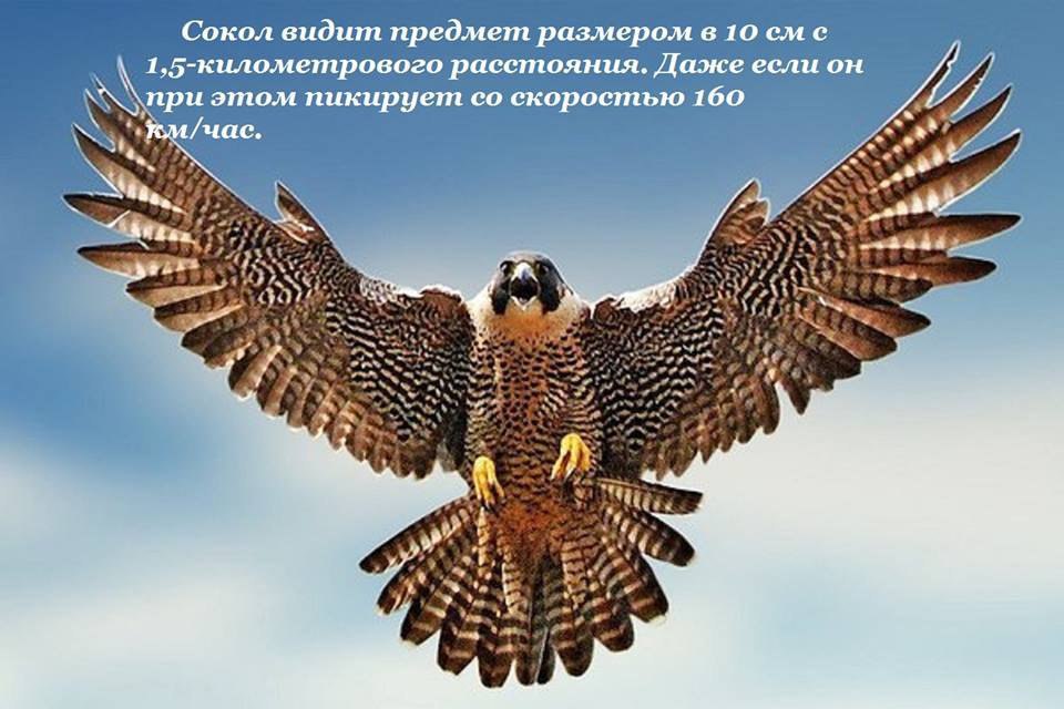   ..  ...!