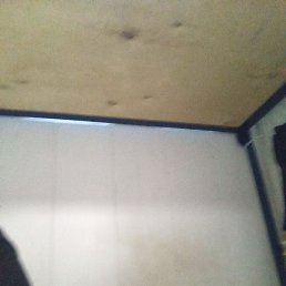 �����, ���������, 35 ���