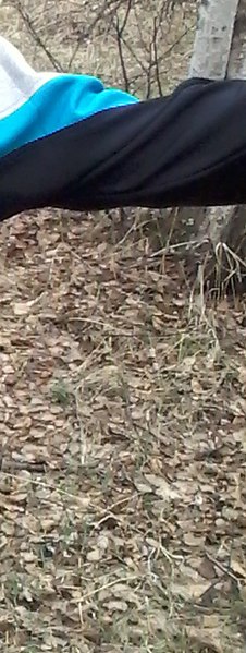 ����, ������, 40 ���