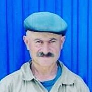 , 51 , 