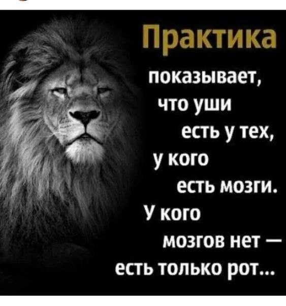 ₪╬═►  ||  ||  ◄═╬₪ - 18  2023  10:24