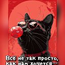 ���� �������, �������� - ��������� 28 ���� 2026 � ������ ������ ��������