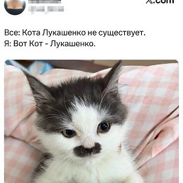 ����, ���������, 47 ���
