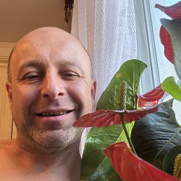 ��������, 46 ���, �����-���������