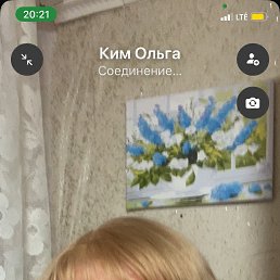 , 61, 