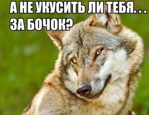   - 1  2025  18:05