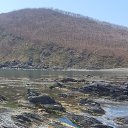 ���� �����, ���������, 62 ���� - ��������� 26 ��� 2024