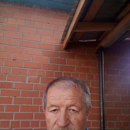 , 66,  