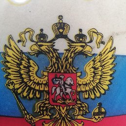 �, ����������, 37 ���