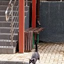 ���� ���������, ���������, 44 ���� - ��������� 29 ��� 2024 � ������ ���� ����������