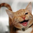 ���� �����, ������, 56 ��� - ��������� 11 ������� 2024 � ������ ���� ����������