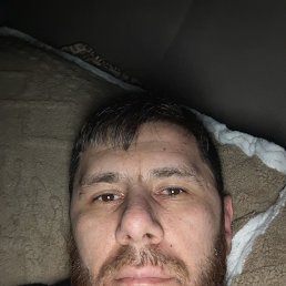 �����, 37 ���, ������