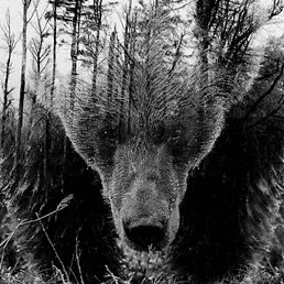 �������, �������, 47 ���