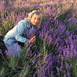 ����, ���, 55 ���