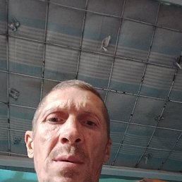 , 41, 