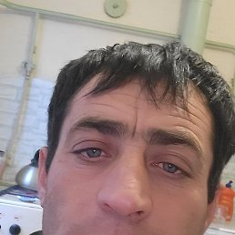 ������, ���������, 36 ���