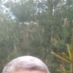 , 45, 