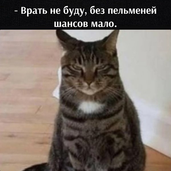 ��� ���� � ����� �� �� - 17 ������� 2026 � 14:02 - 4