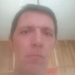, , 44 