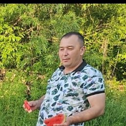 , 41 , 