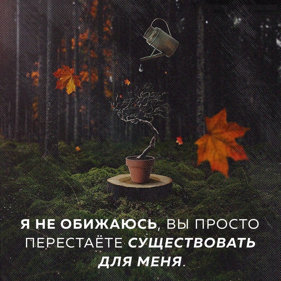  - 11  2024  17:31