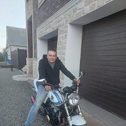 , 41, 