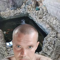 ���������, �������, 36 ���