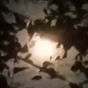 ���� Stiil, ������������, 86 ��� - ��������� 5 ������� 2023 � ������ ���� ����������