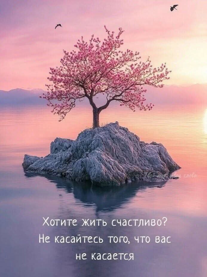 :)   ,  . " ",   .  , ,  ...