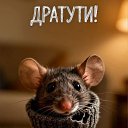 ���� �������, ���������, 39 ��� - ��������� 11 ��� 2026 � ������ ���� ����������
