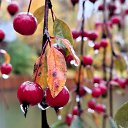 ���� �������, ������, 62 ���� - ��������� 23 ������� 2025 � ������ ������ ��������