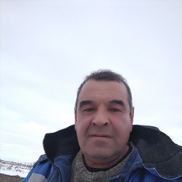 , 56, 