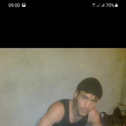 , 37, 