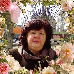 , 62, 