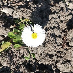 ���� ����, ����������, 50 ��� - ��������� 8 ������ 2026