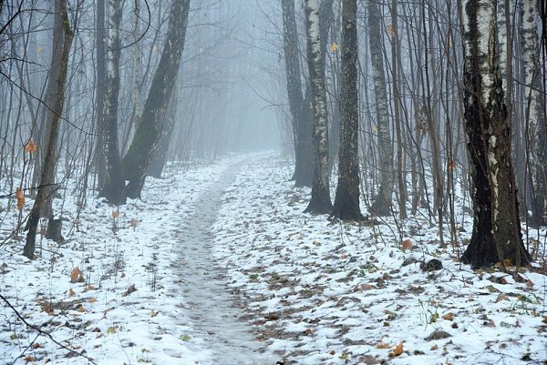 Ноябрь - уже не осень, ещё не зима... Уже не осень. Ещё не зима. Ноябрь любого сведёт с ума. Кого ни ...