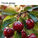 ***,  -  22  2025